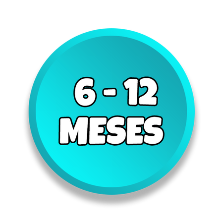 6 - 12 meses