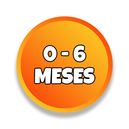 0 - 6 meses